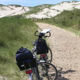 0506G 10 Amrum
